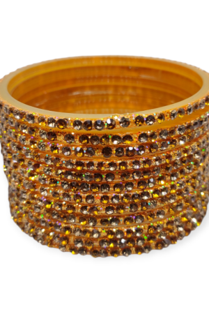 GB12PC00017 Pari Haldi 2